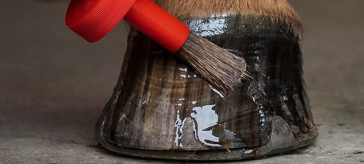 Fungatrol Hoof Dressing – Equine America - View #6