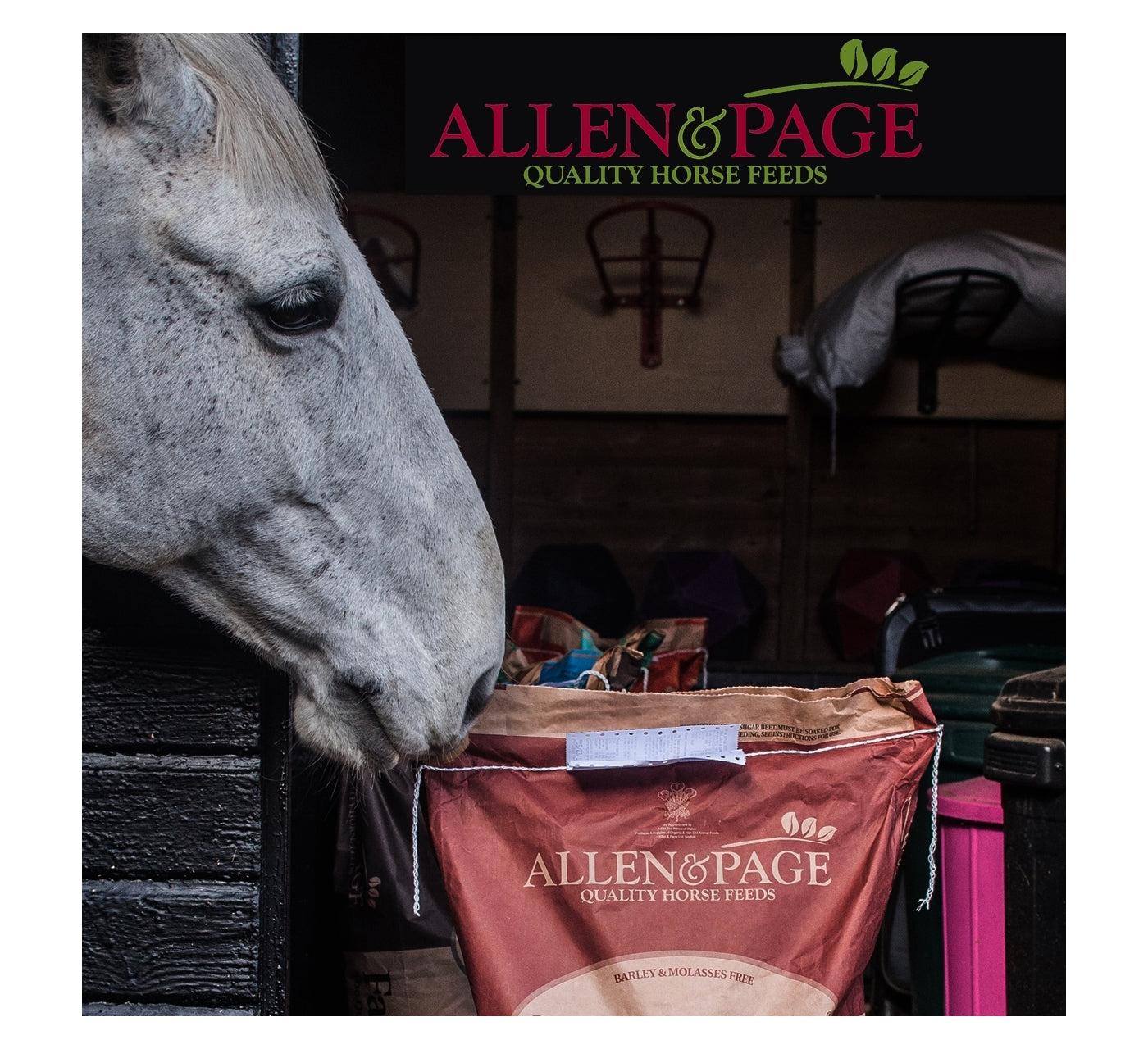 Allen & Page - Calm & Condition | Horse Feed - Buy Online SPR Centre UK