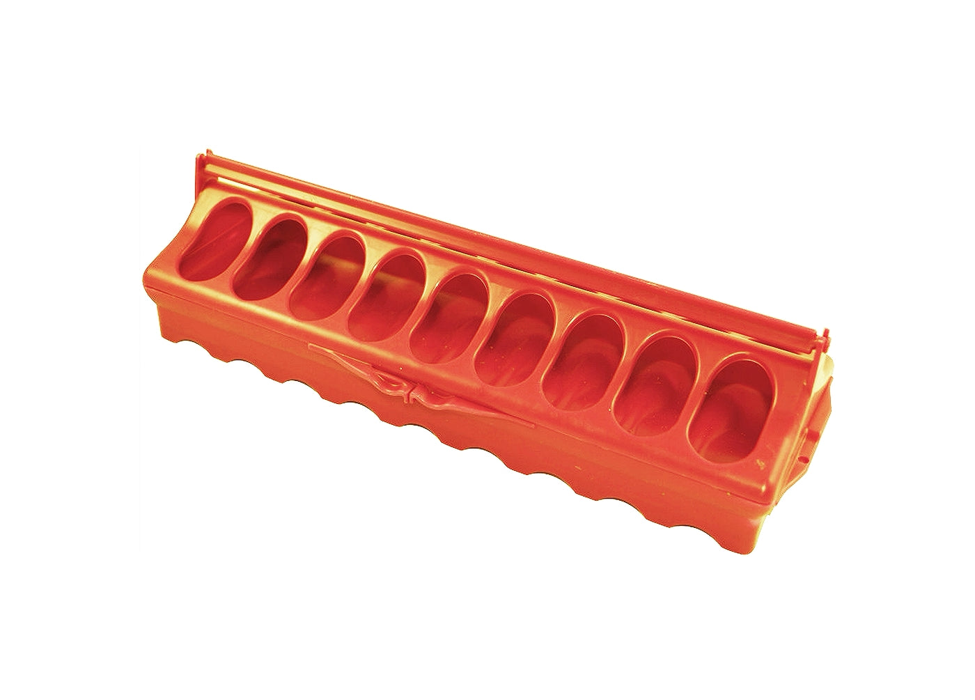 BEC - Linear Feeder for Poultry and Pigeons (Orange) - 30cm
