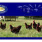 Badminton Layers Pellets 20kg | Chicken Feed - Buy Online SPR Centre UK