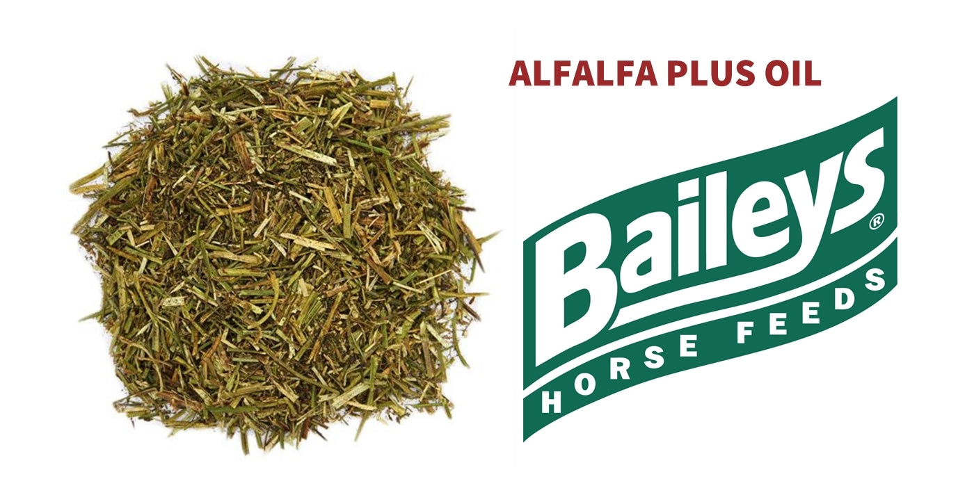 Baileys Alfalfa Plus Oil | Horse Feed - Buy Online SPR Centre UK