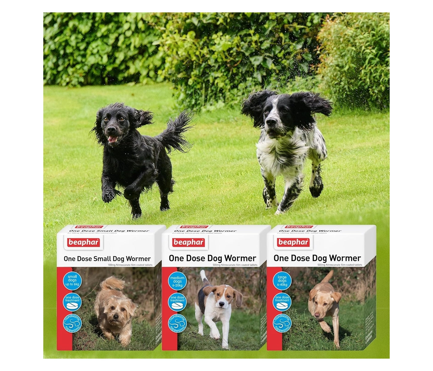 Beaphar - One Dose Worming Tablets for Small Dogs up to 6kg (3 Tablets) - Buy Online SPR Centre UK