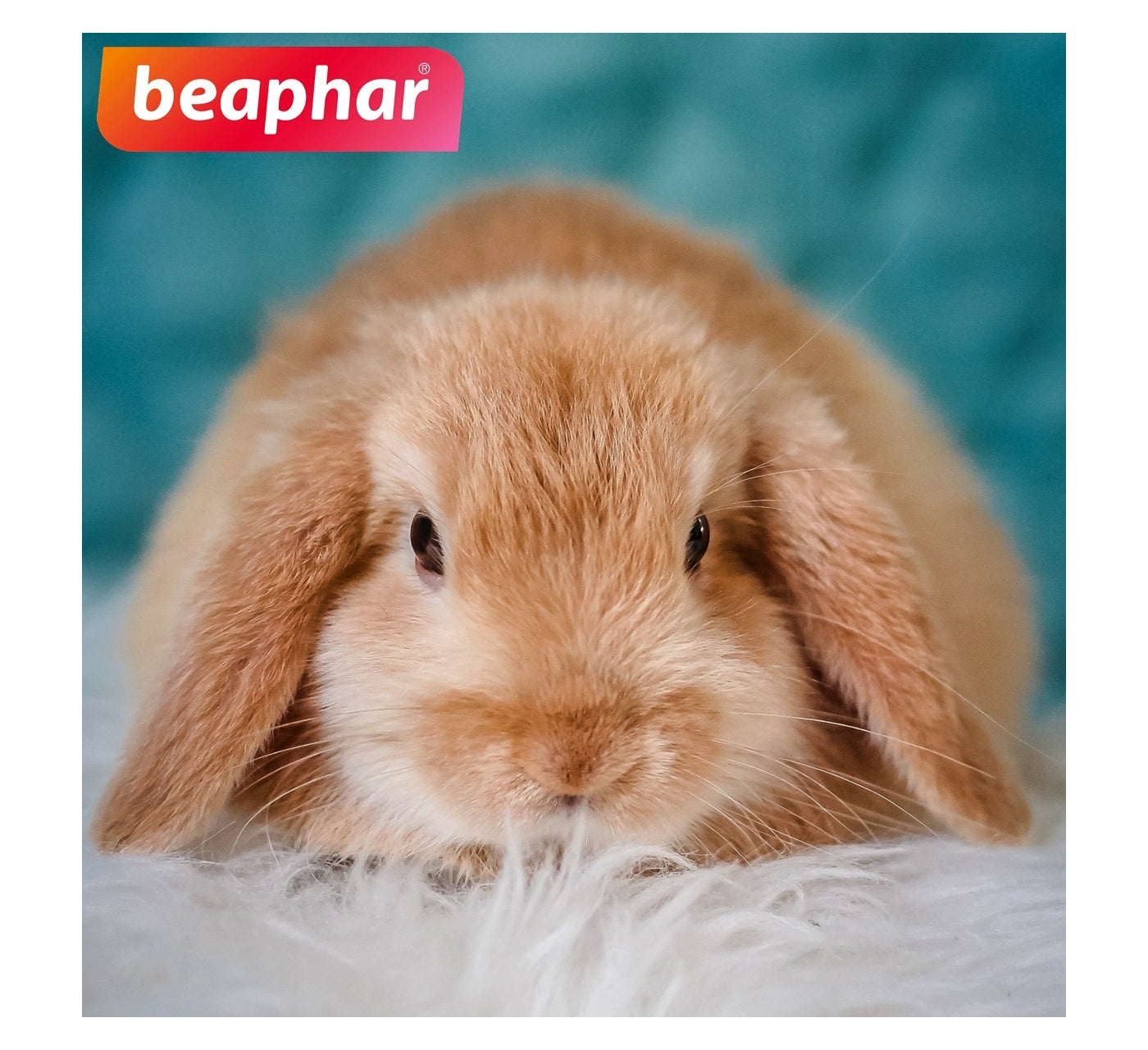 Beaphar - Deep Clean Disinfectant for Small Animal Housing - Buy Online SPR Centre UK