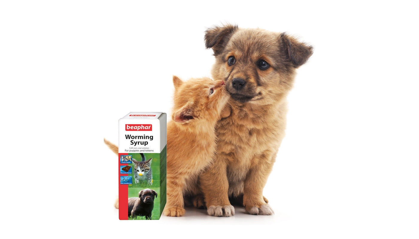 Beaphar - Worming Syrup for Puppies & Kittens - Buy Online SPR Centre UK