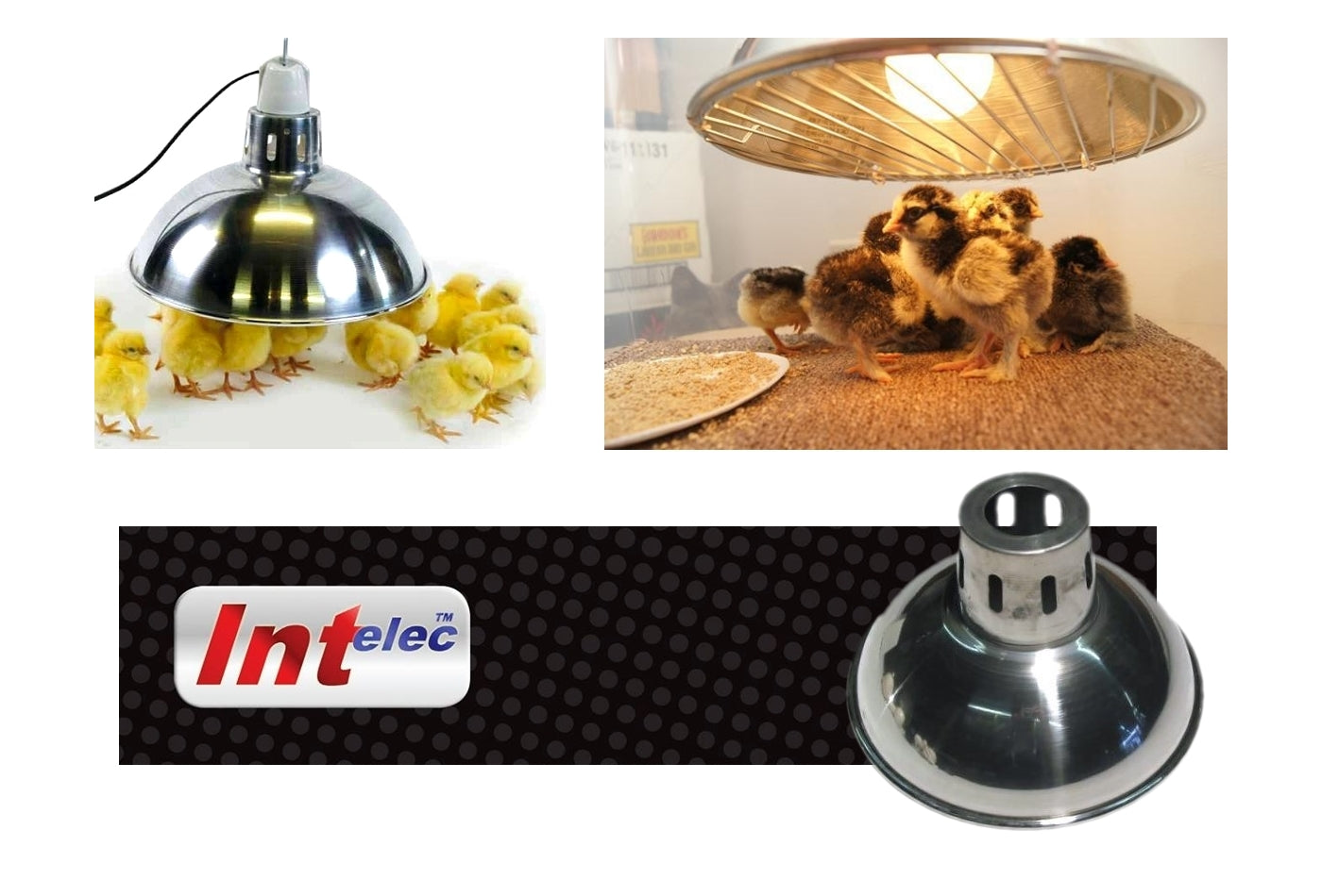 Brooder Heat Lamp Reflector Shade - 200mm Diameter - Buy Online SPR Centre UK