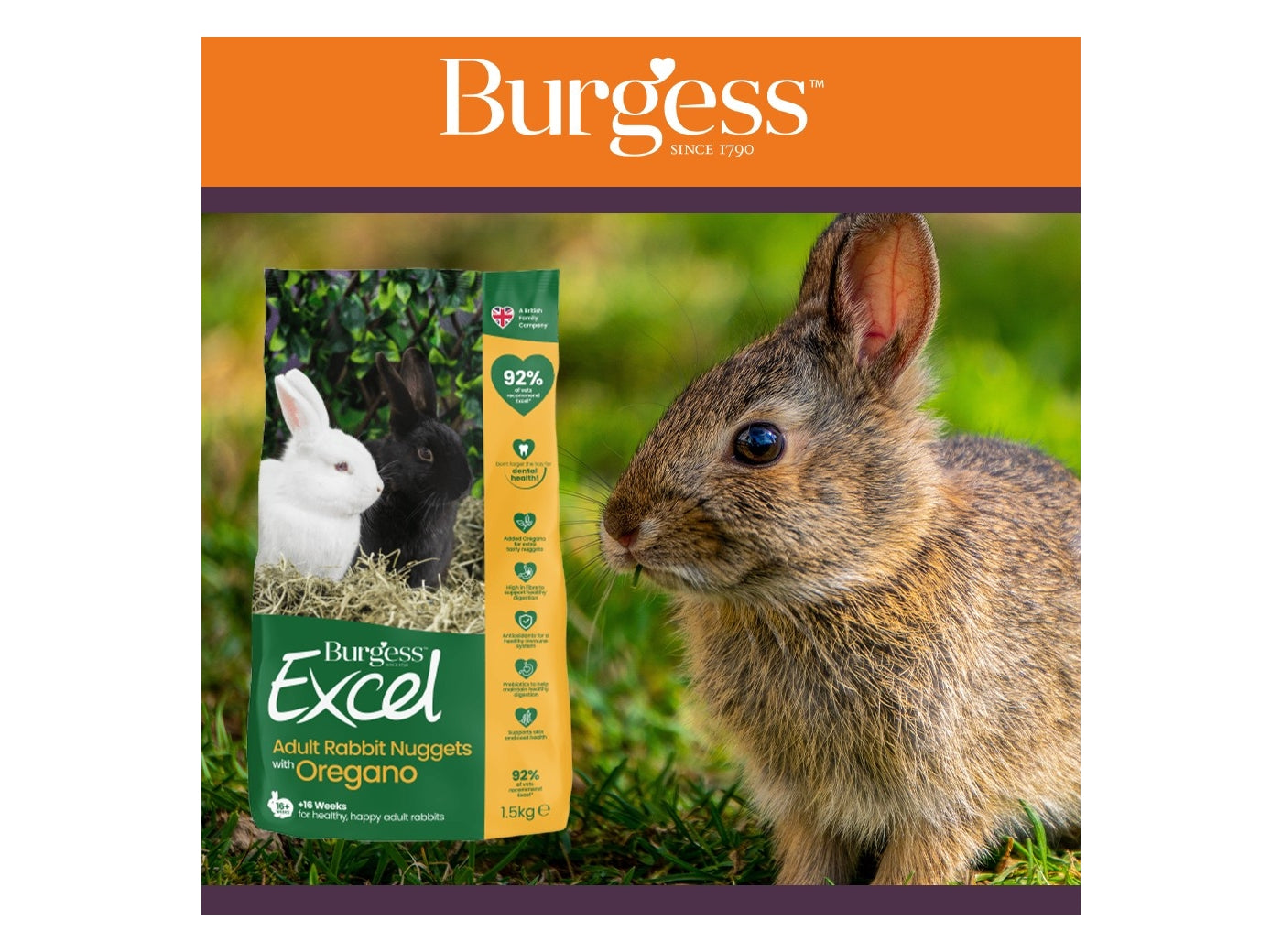 Burgess Excel - Adult Rabbit Nuggets with Oregano 1.5kg - Buy Online SPR Centre UK