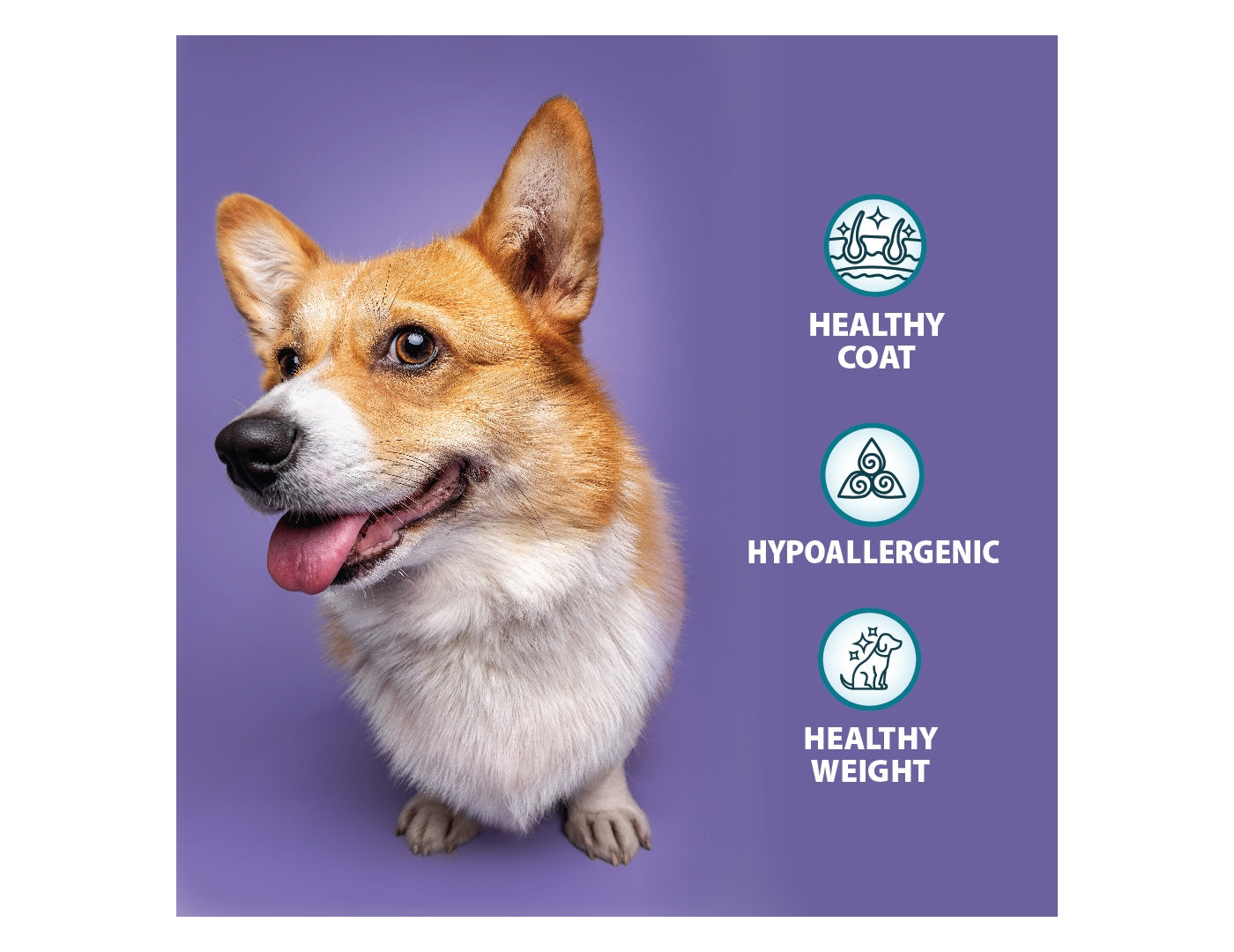 Burns Grain Free Sensitive Duck & Potato | Dog Food - Buy Online SPR Centre UK