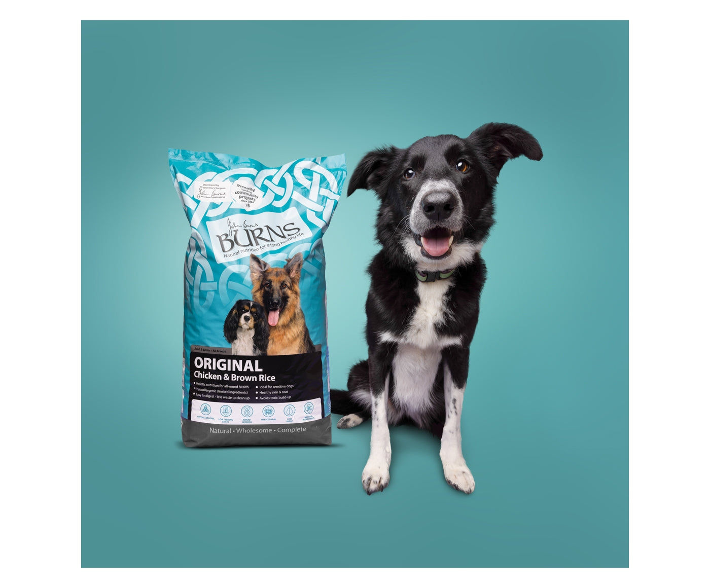 Burns Adult/Senior Dog Food (Chicken & Brown Rice) - Buy Online SPR Centre UK