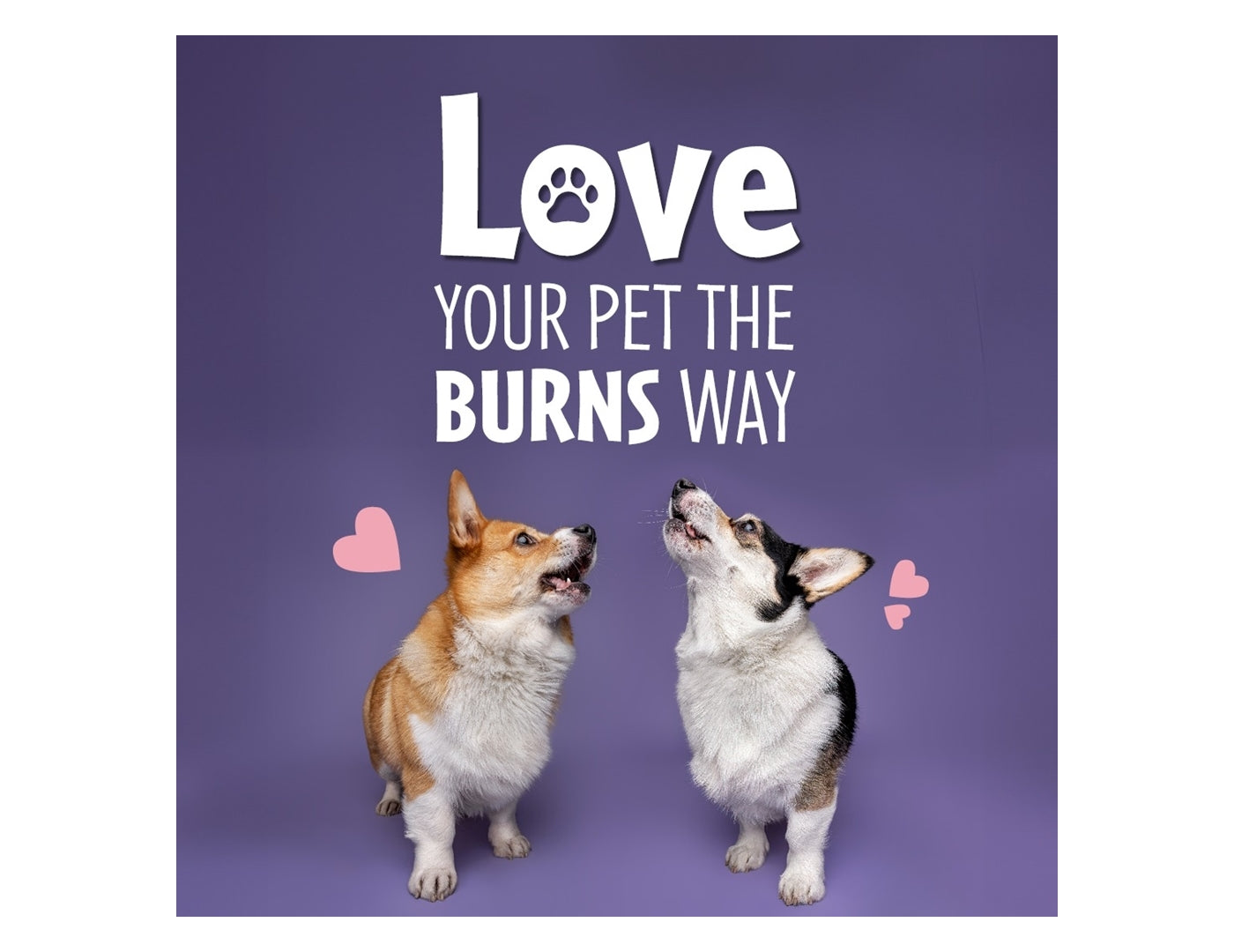 Burns - Adult/Senior Dog Food (Fish & Brown Rice) - Buy Online SPR Centre UK