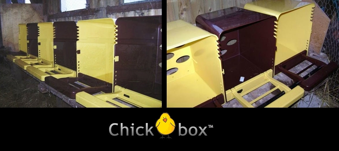 Chick Box - Nest Box with Rollout Egg Tray (Green)