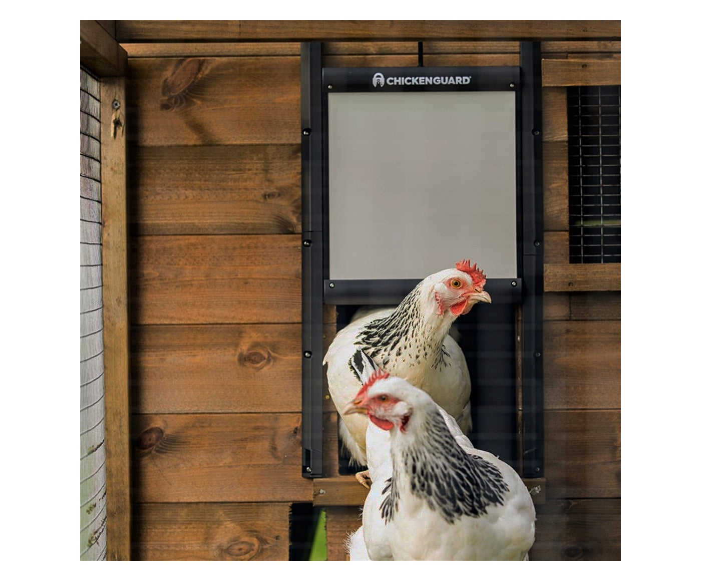 ChickenGuard - Self-Locking Door Kit - Chicken Coop Door Kit - Buy Online SPR Centre UK