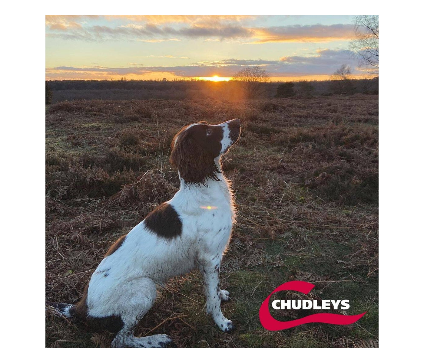 Chudleys - Original (Working Dog Food) - 14kg