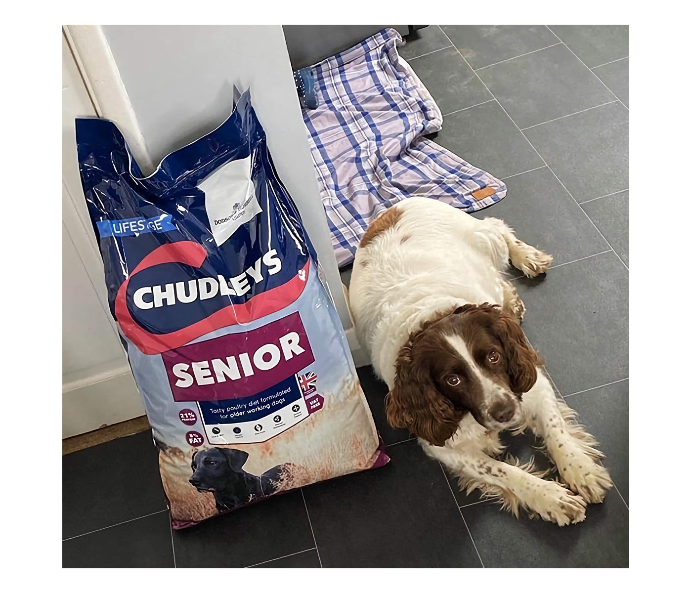 Chudleys - Senior (Working Dog Food) 14kg - Buy Online SPR Centre UK
