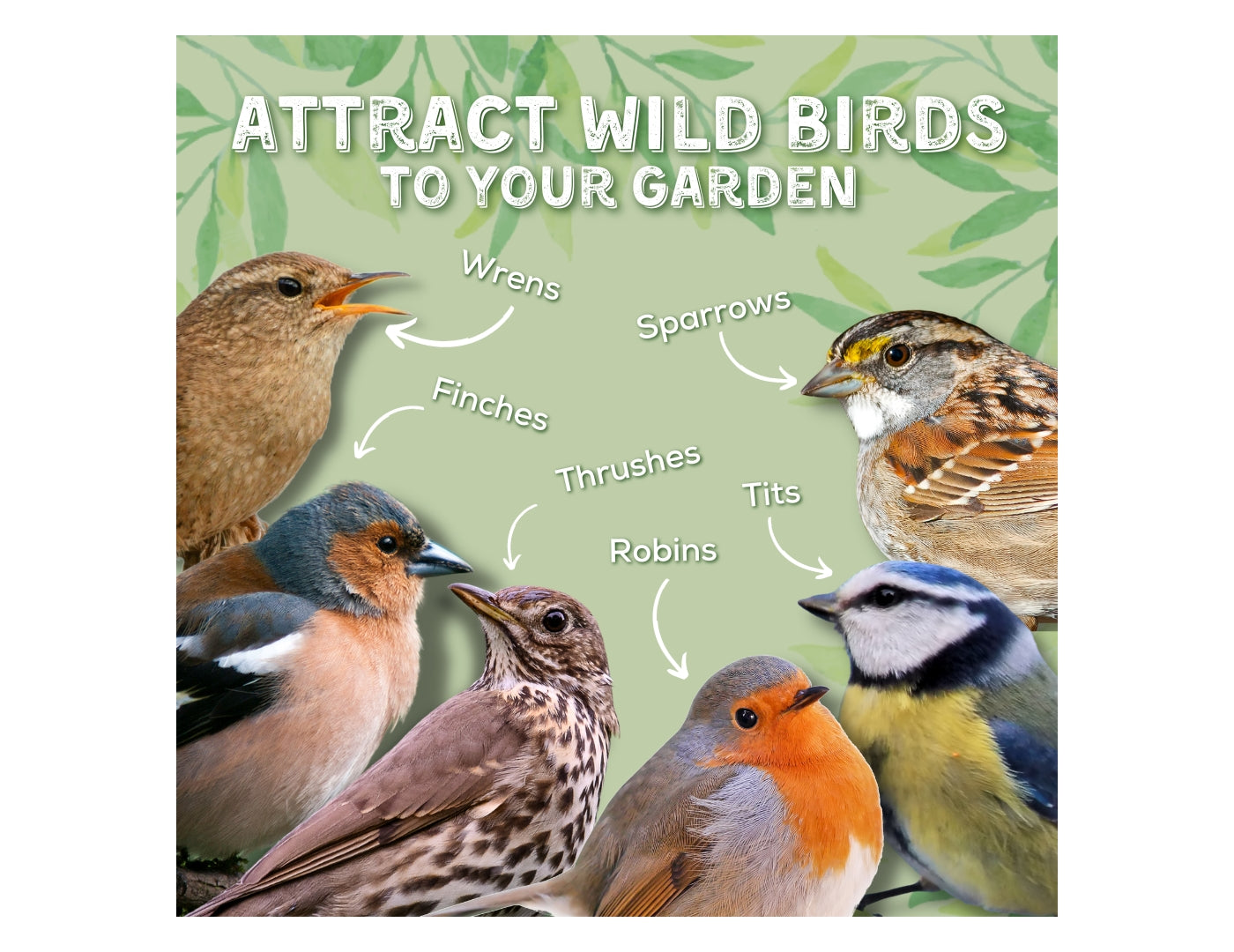 Copdock Mill - Wild Bird Peanut Granules 2kg - Buy Online SPR Centre UK