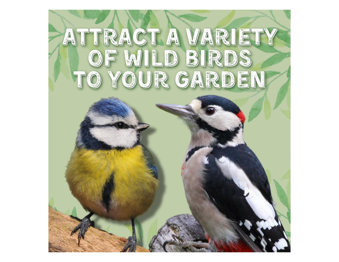 Copdock Mill - Peanuts in Shells 500g - Buy Online SPR Centre UK