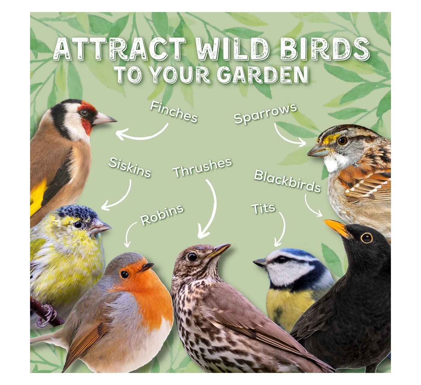 Copdock Mill - Wheat Free Wild Bird Mix 2.5kg - Buy Online SPR Centre UK