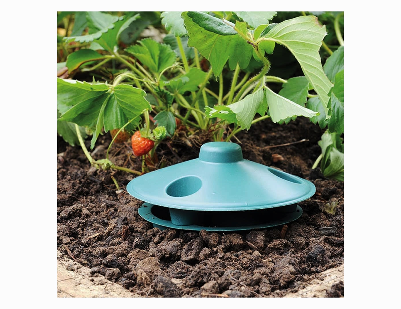 Defenders - Slugs Away Ready-Baited Trap (2 Pack) - Buy Online SPR Centre UK