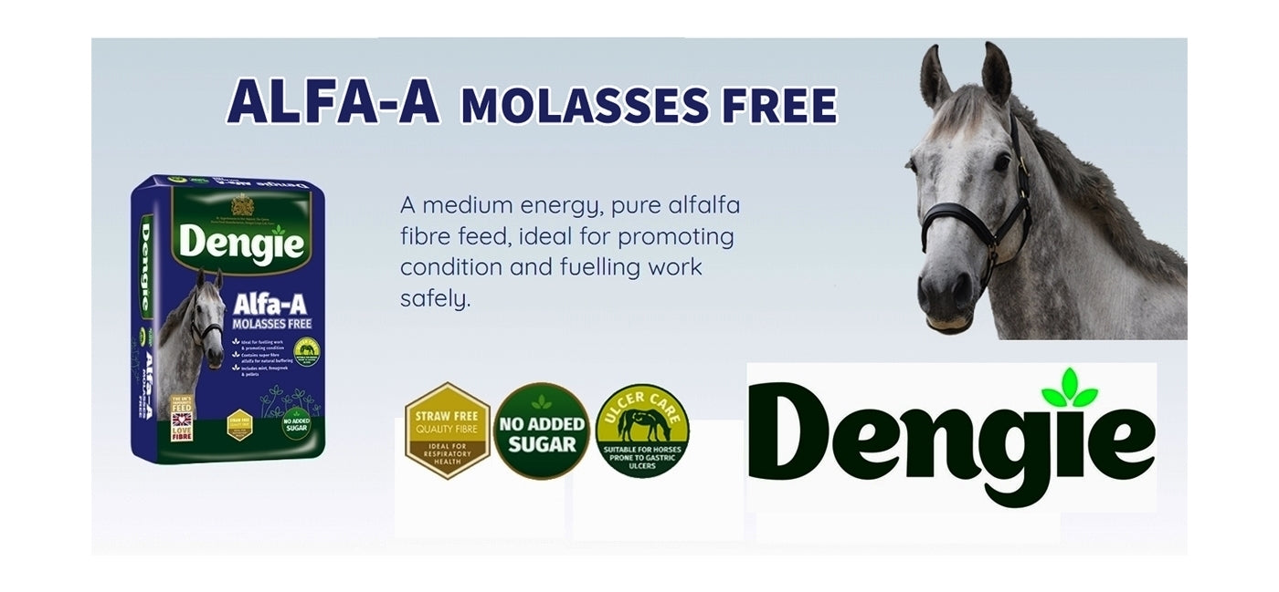 Dengie Alfa-A Molasses Free | Low Sugar, Fibre Horse Feed - Buy Online SPR Centre UK