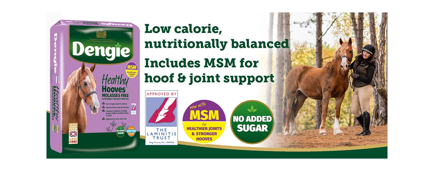 Dengie Healthy Hooves Molasses Free | Low Sugar, High Fibre Horse Feed - Buy Online SPR Centre UK