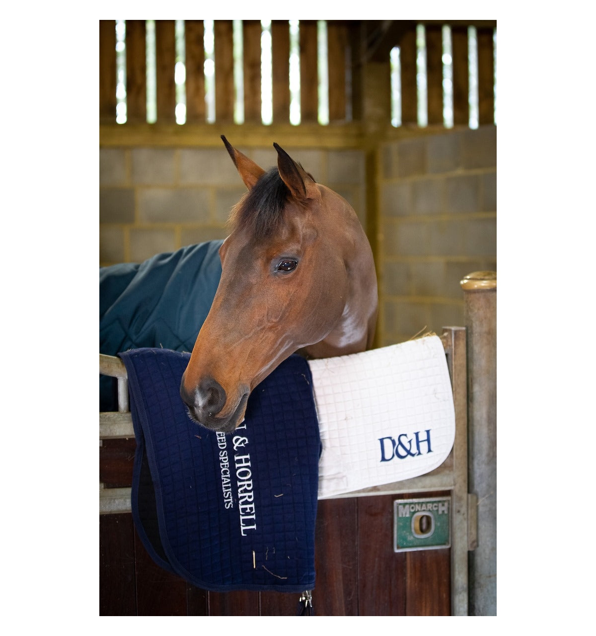 Dodson & Horrell - Devils Claw Root - 1.5kg