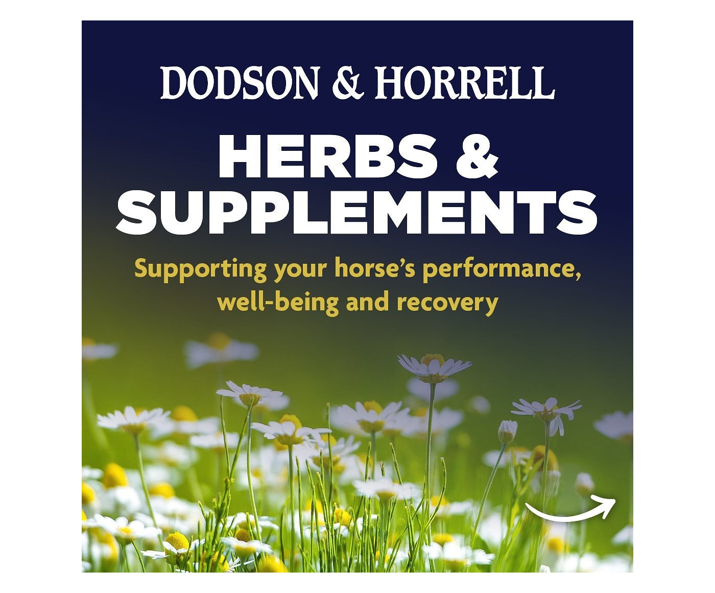 Dodson & Horrell - Itch-Free | Horse Care - Buy Online SPR Centre UK
