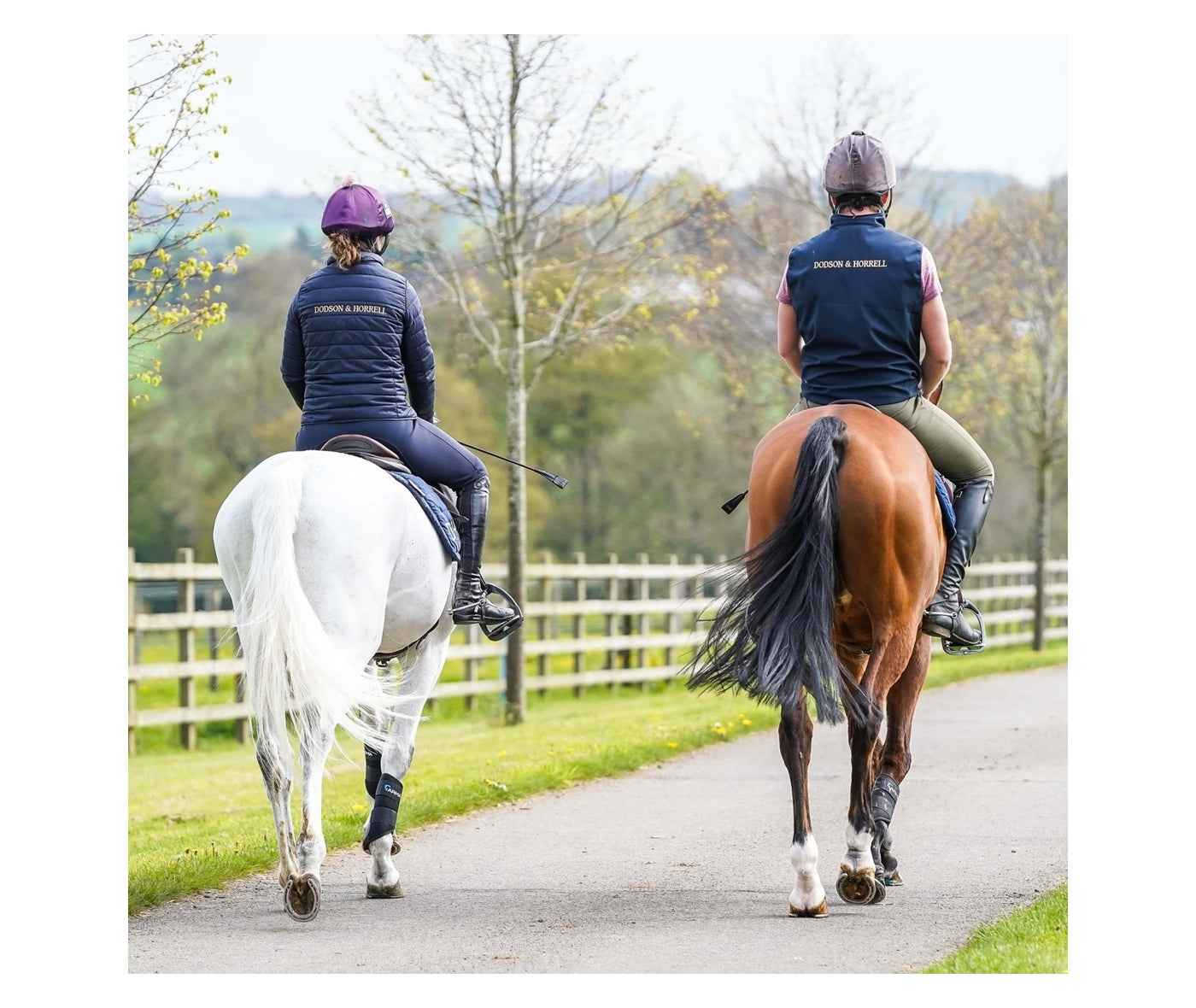 Dodson & Horrell - Lami-Free | Horse Care - Buy Online SPR Centre UK