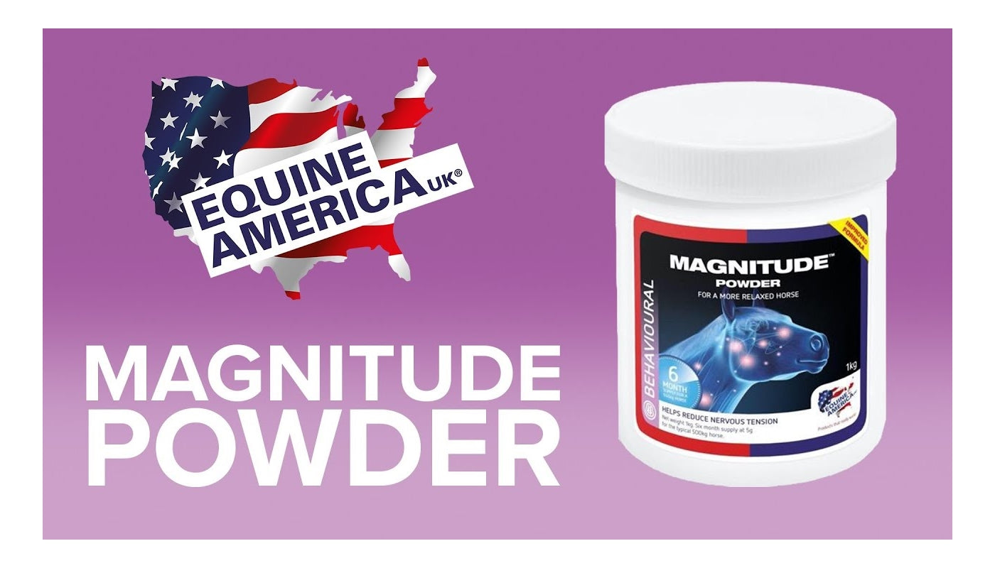 Equine America - Magnitude Powder - Buy Online SPR Centre UK