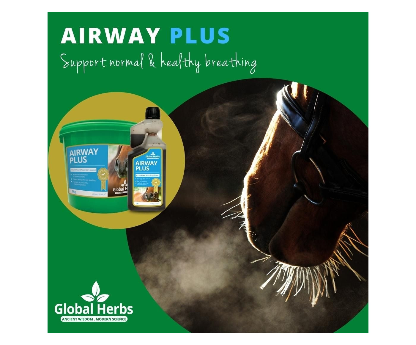 Global Herbs - Airway Plus Powder | Horse Care - Buy Online SPR Centre UK