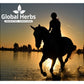 Global Herbs - Airway Plus Powder | Horse Care - Buy Online SPR Centre UK