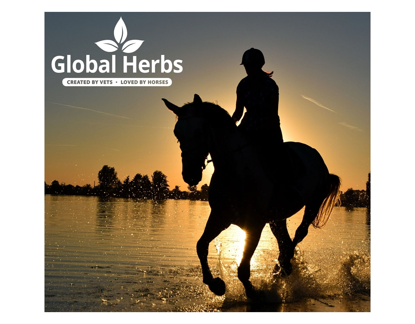 Global Herbs - Restore Liquid | Horse Care - Buy Online SPR Centre UK