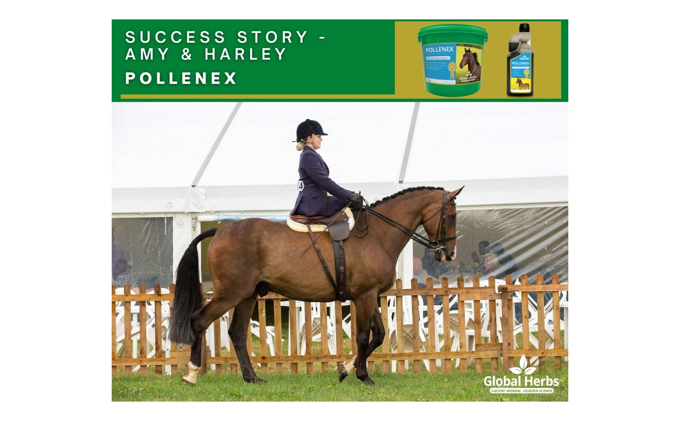 Global Herbs - Pollenex Liquid | Horse Care - Buy Online SPR Centre UK
