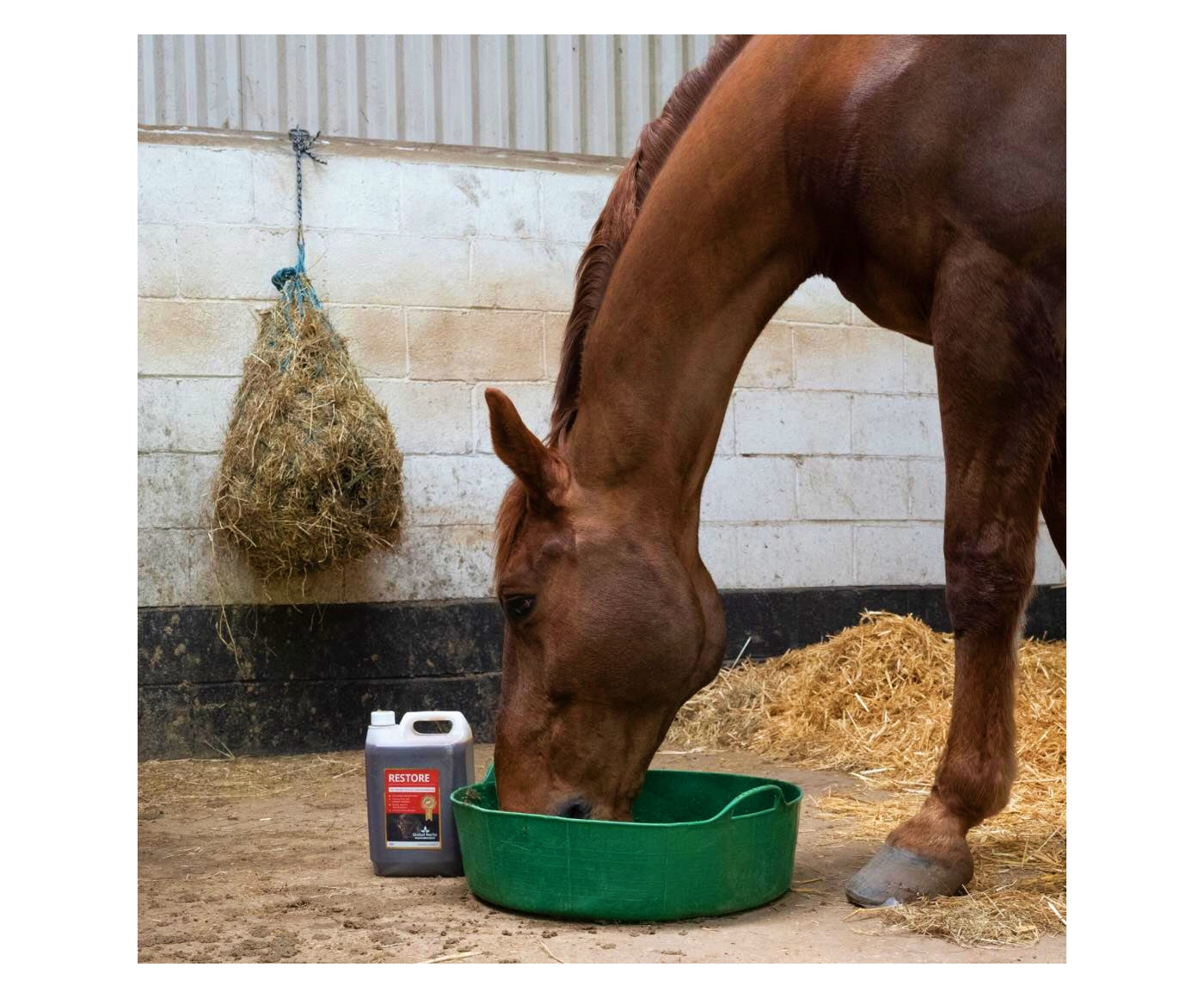 Global Herbs - Restore Liquid | Horse Care - Buy Online SPR Centre UK