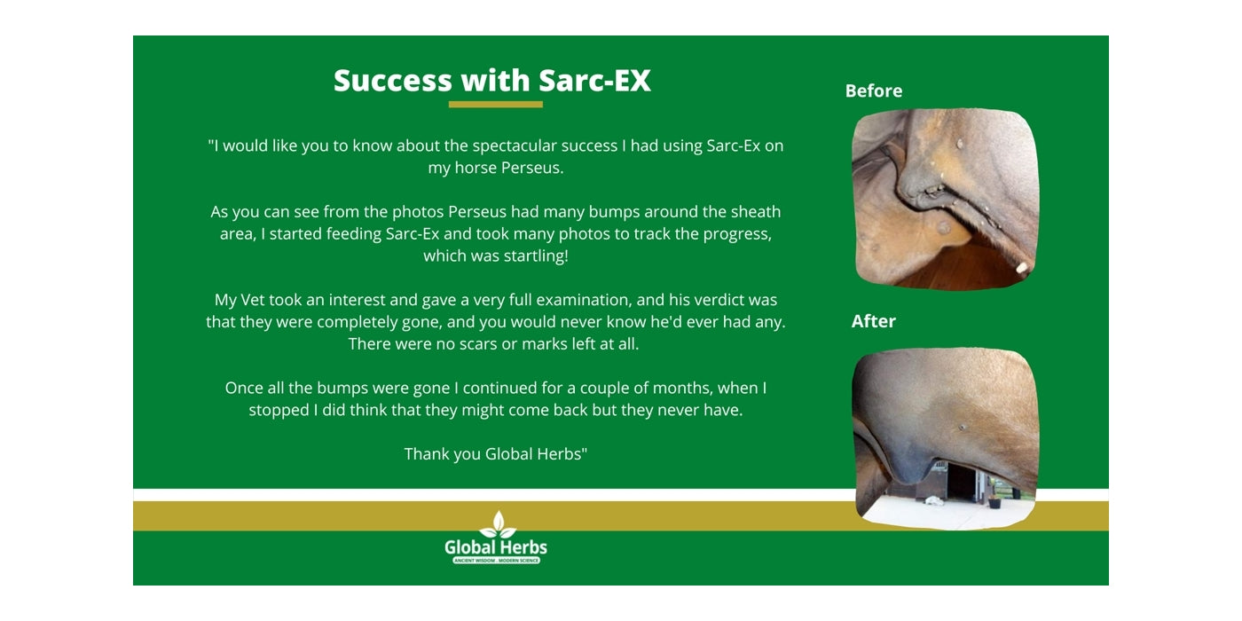 Global Herbs Sarc-Ex Powder 1kg | Horse Supplement - Buy Online SPR Centre UK