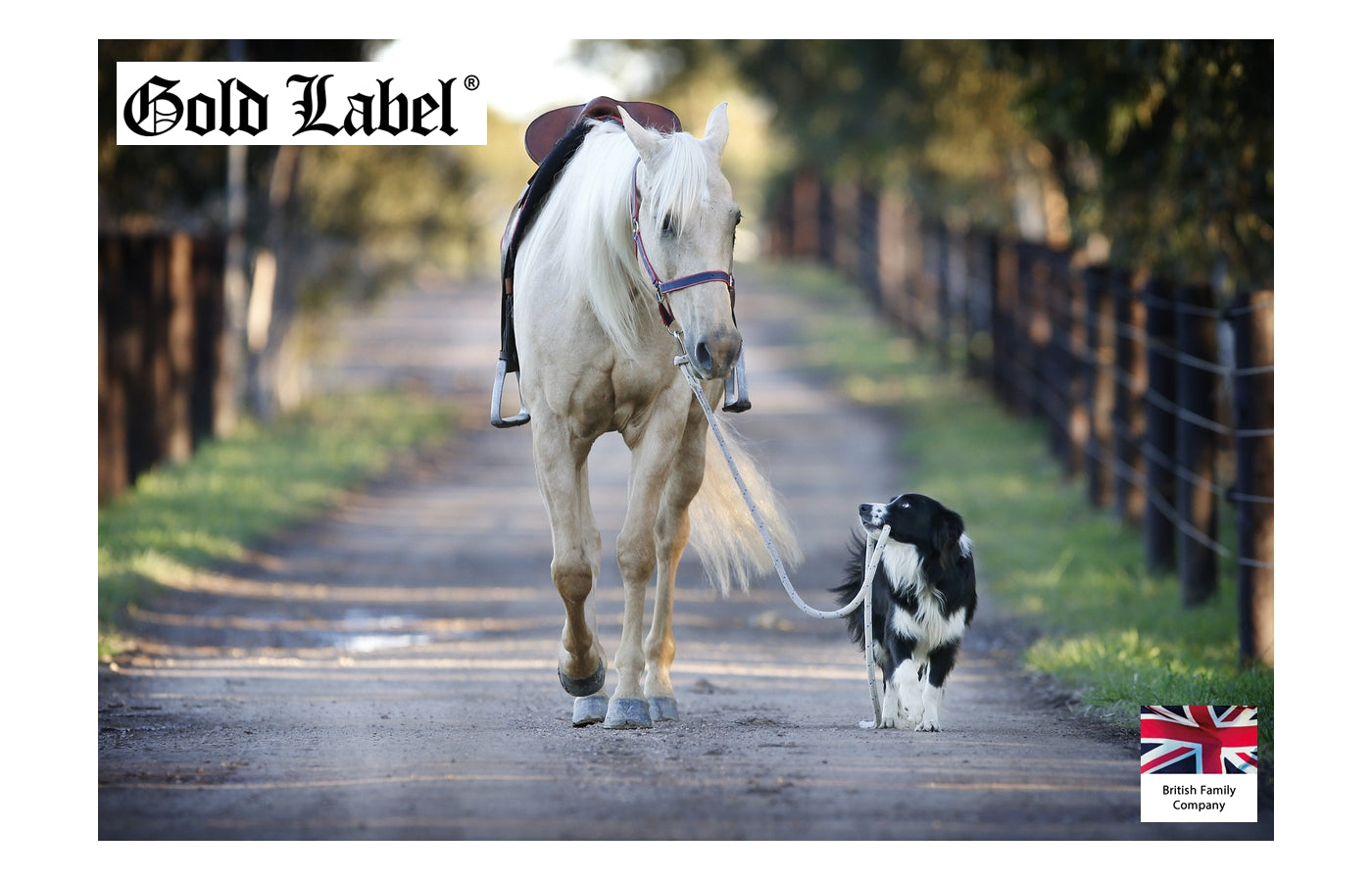 Gold Label Glucosamine Liquid 1 litre | Joint Care for Horses and Dogs - Buy Online SPR Centre UK