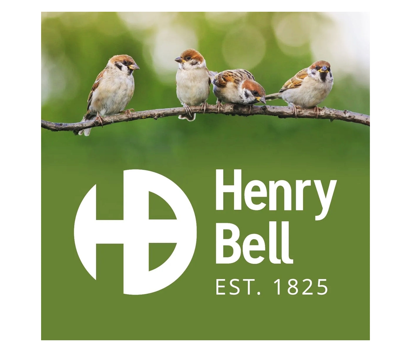 Henry Bell - Heritage Suet Bites & Mealworm Feeder - Buy Online SPR Centre UK