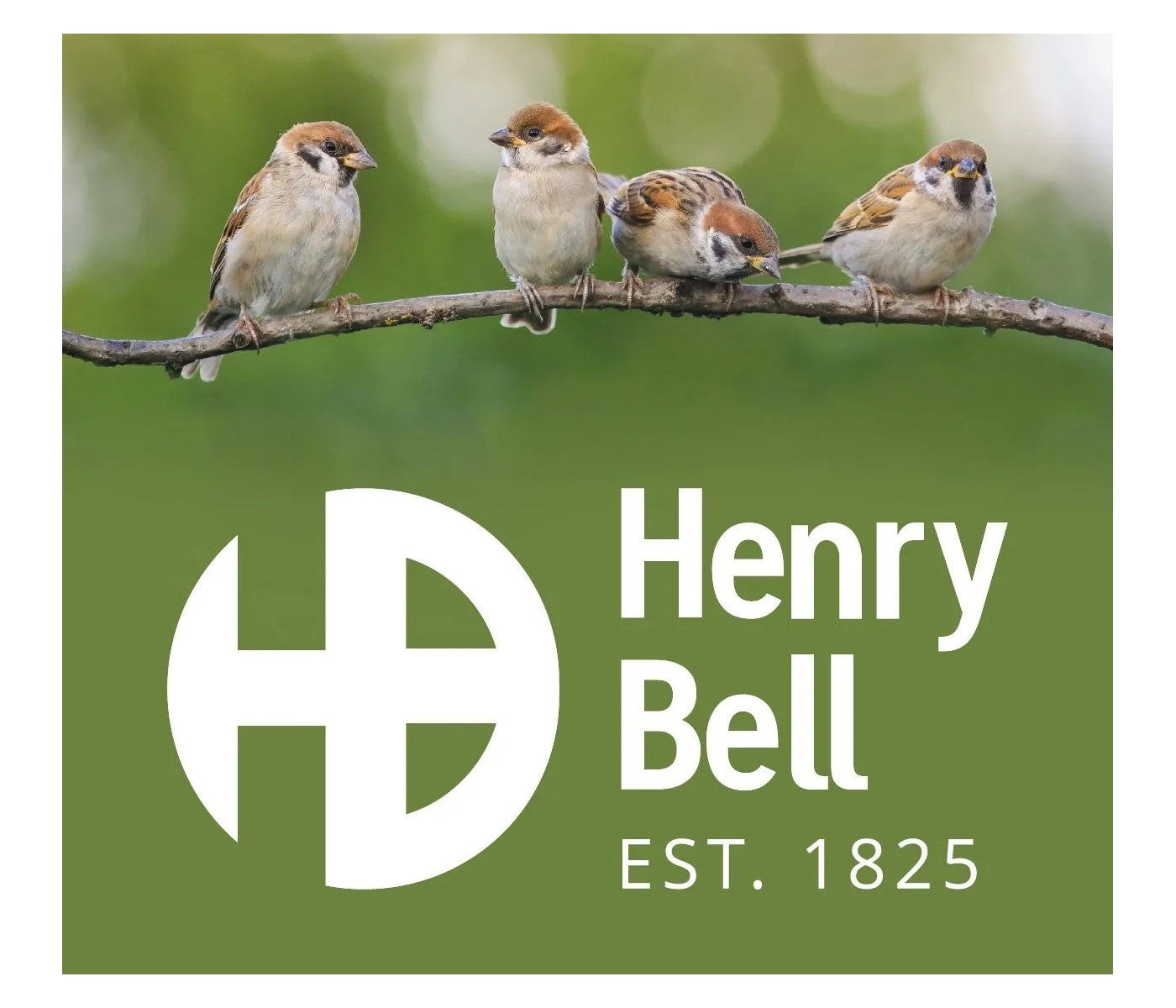 Henry Bell - Sterling 3 in 1 Squirrel Proof Feeder | Wild Bird Care - Buy Online SPR Centre UK