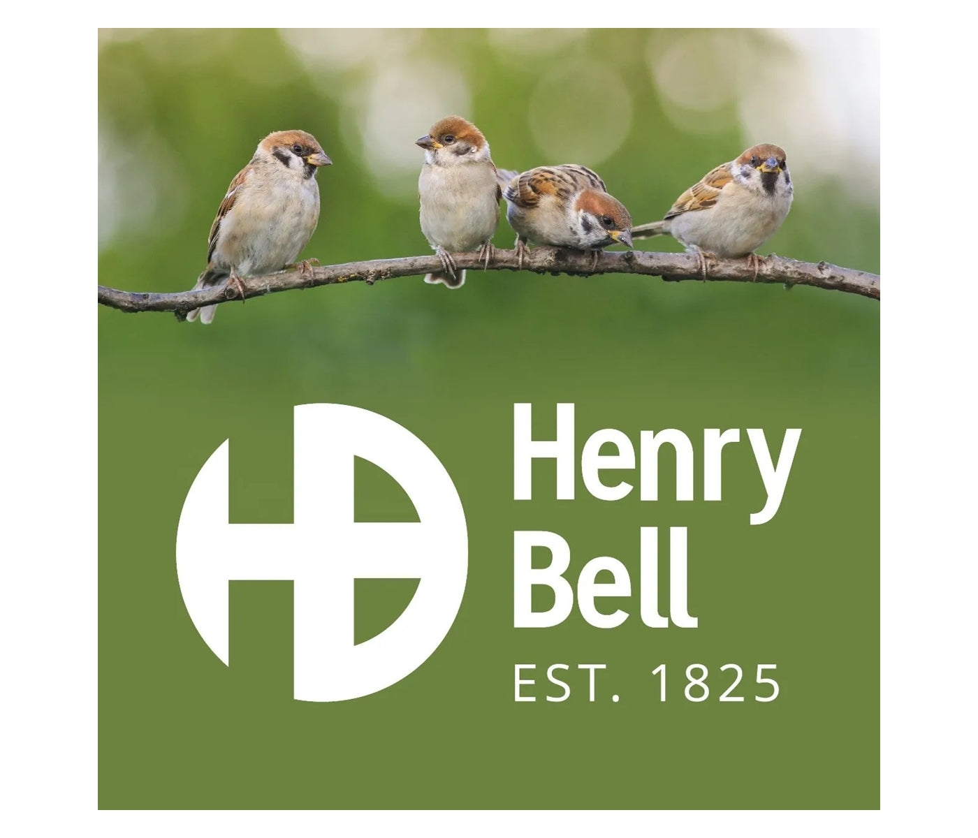 Henry Bell Calciworms 500g | Wild Bird Care - Buy Online SPR Centre UK