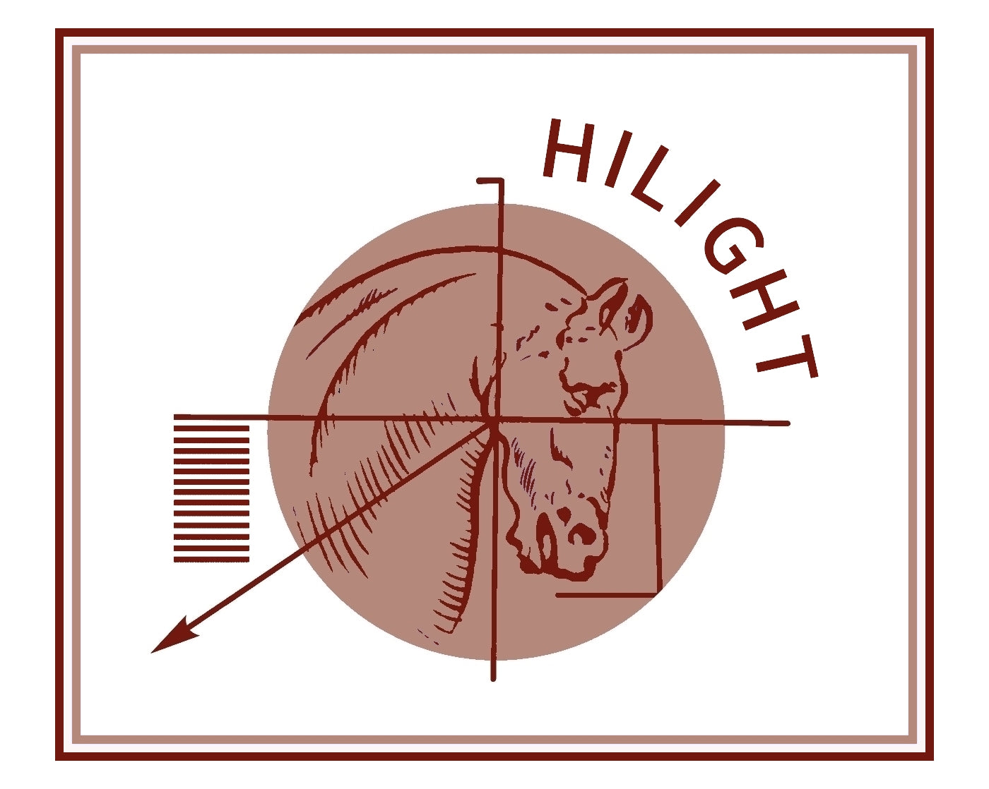 Hilight - Veteran Mix | Senior Horse Feed - Buy Online SPR Centre UK