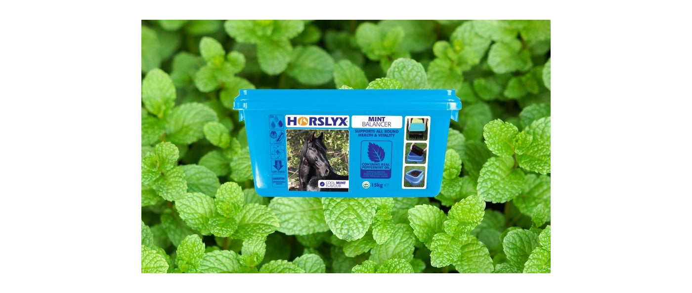 Horslyx - Mint Balancer 5kg - Buy Online SPR Centre UK
