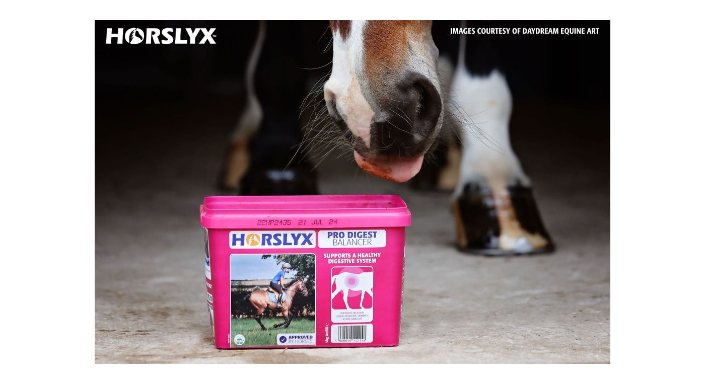 Horslyx - Pro Digest Balancer 5kg - Buy Online SPR Centre UK