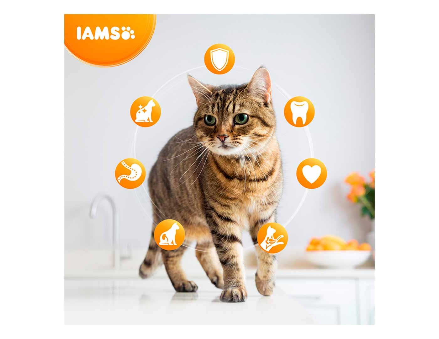 IAMS For Vitality - Adult Cat Food with Ocean Fish - 2kg
