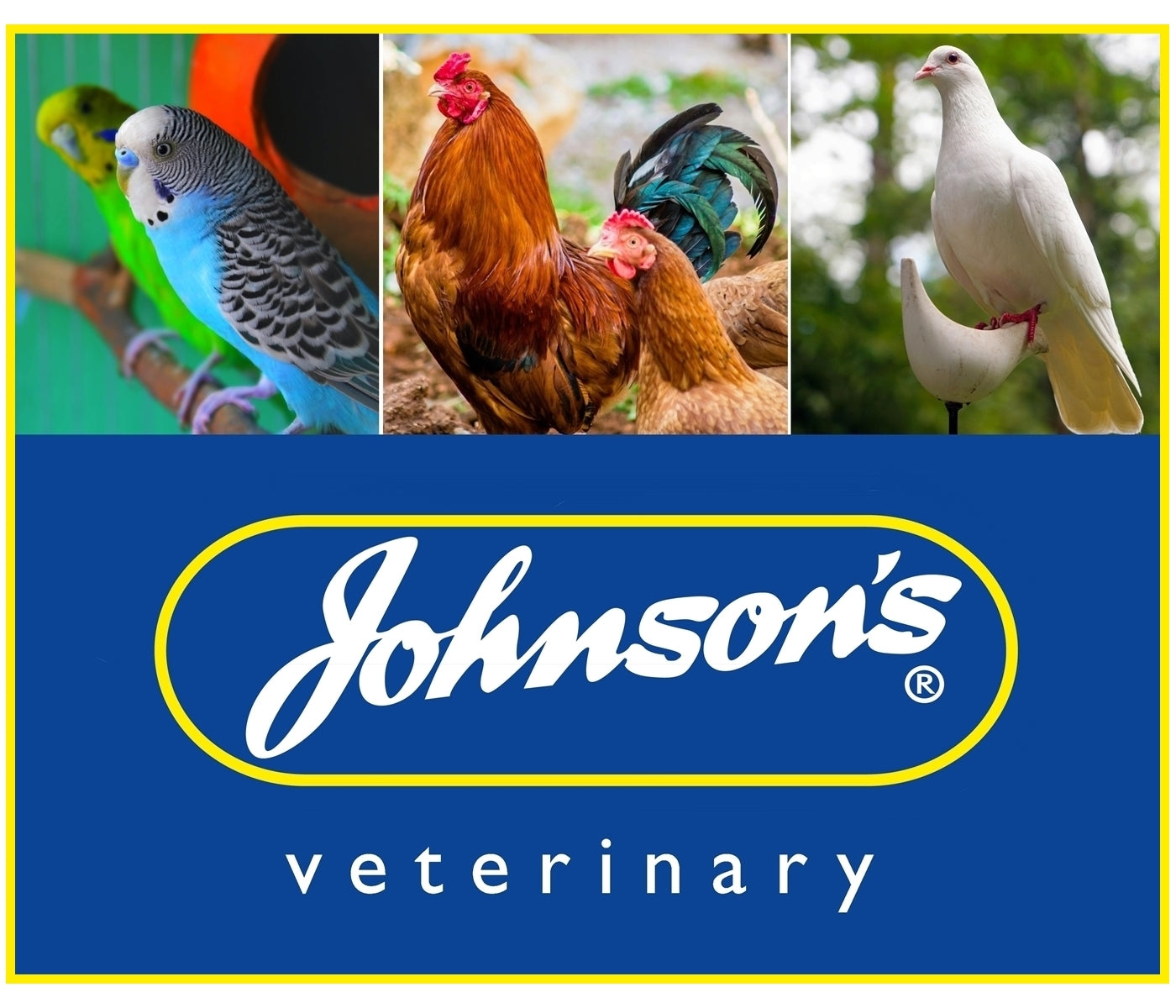 Johnson's - Anti-Mite Extra - 150ml