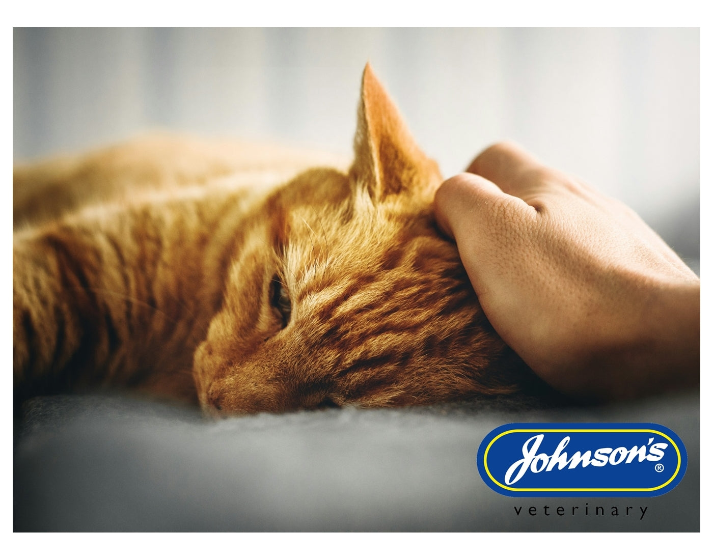 Johnson's - Calming Spray for Dogs & Cats - Buy Online SPR Centre UK