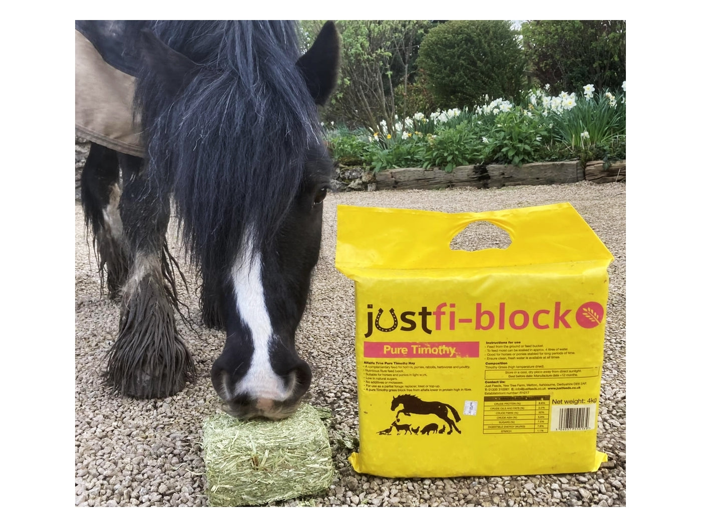 Just Fi-Block Pure Timothy (4 x 1kg blocks) | Horse Feed - Buy Online SPR Centre UK