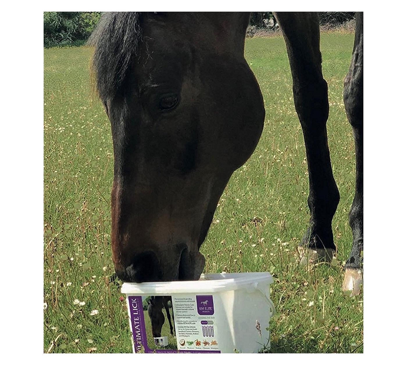 KM Elite - Ultimate Lick for Horses 7.5kg - Buy Online SPR Centre UK