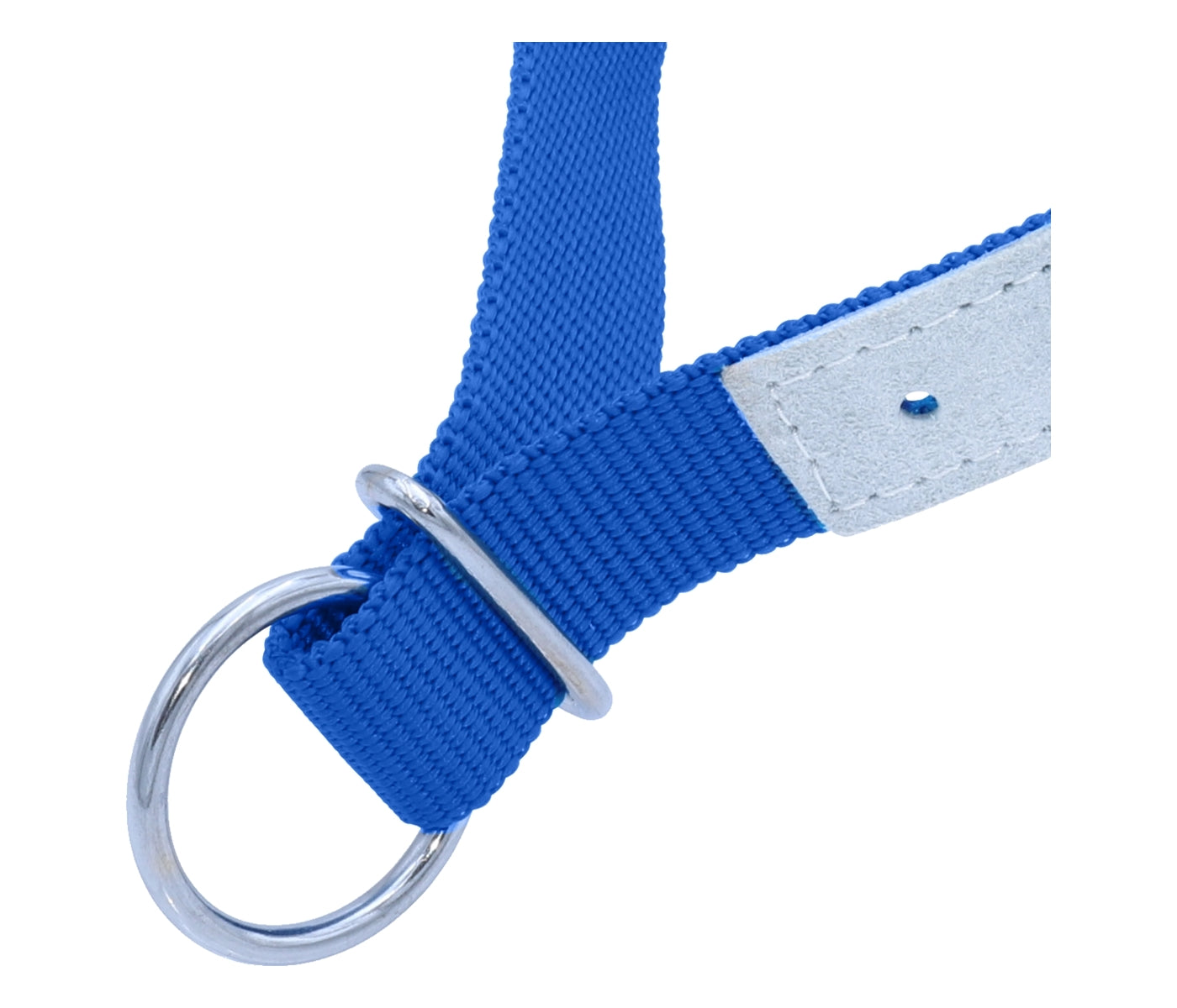Kamer - Blue Nylon & Leather Collar for Sheep & Goats - Buy Online SPR Centre UK