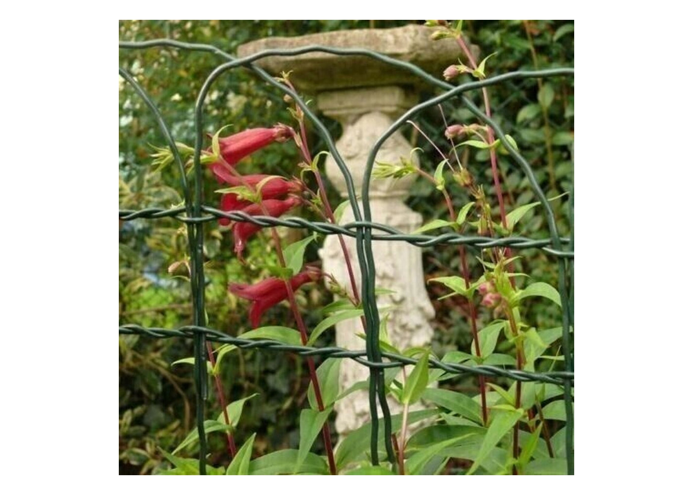 Kestrel - Green Border Fence 650mm x 10M - Buy Online SPR Centre UK