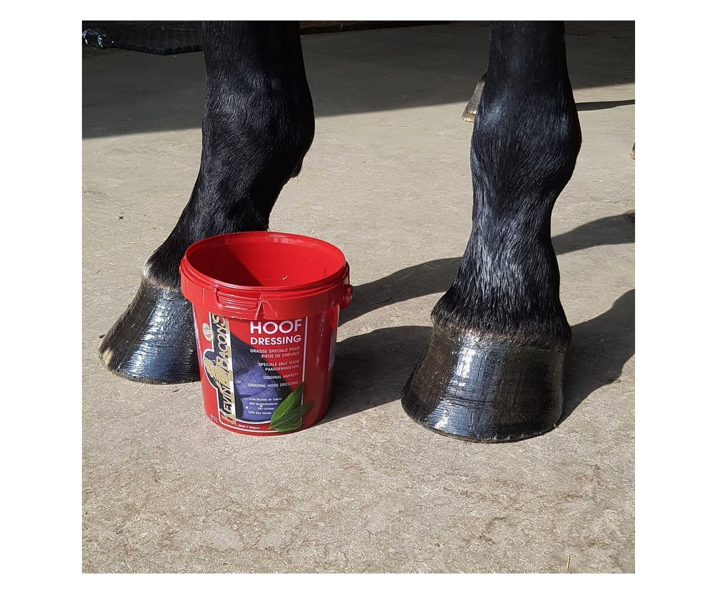 Kevin Bacon's Original Hoof Dressing 1 Litre (Black) | Horse Care - Buy Online SPR Centre UK