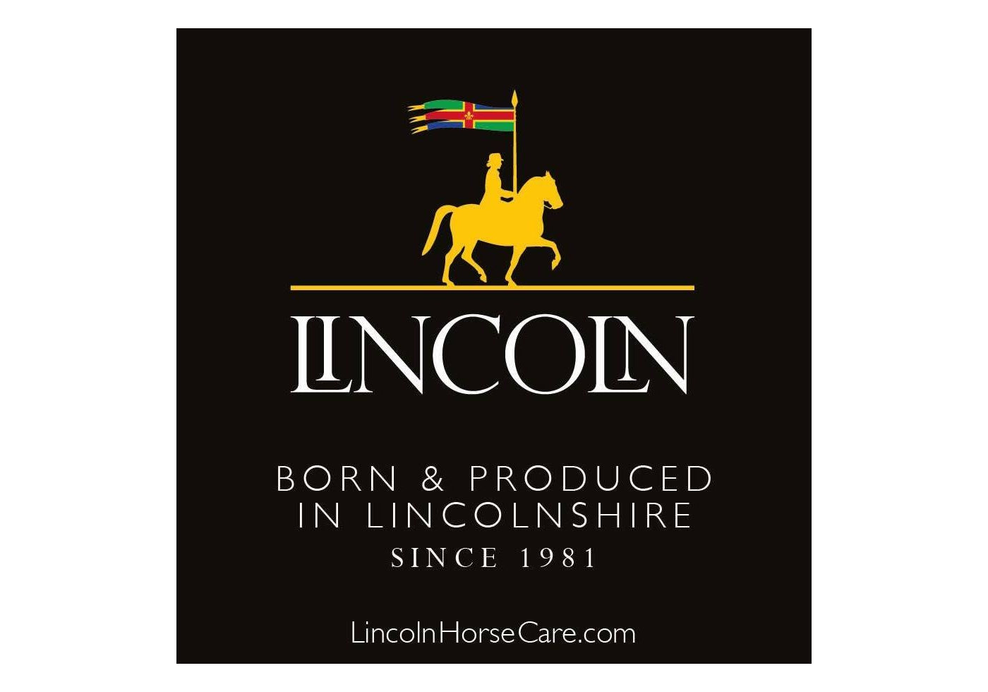 Lincoln - Hoof Oil Brush With Container | Horse Care - Buy Online SPR Centre UK