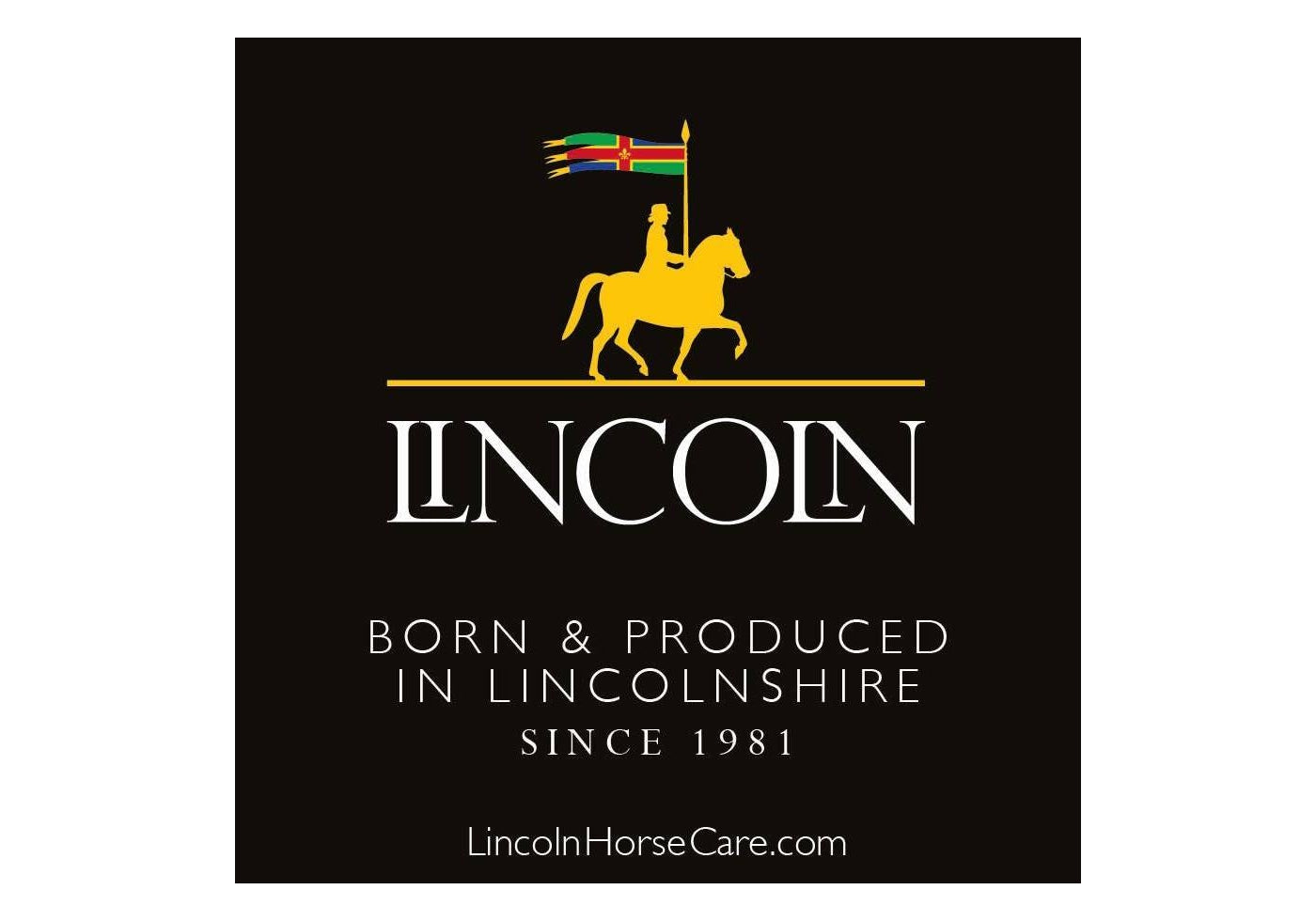 Lincoln - Muddy Buddy Ointment 500g - Buy Online SPR Centre UK